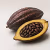 cocoa beans